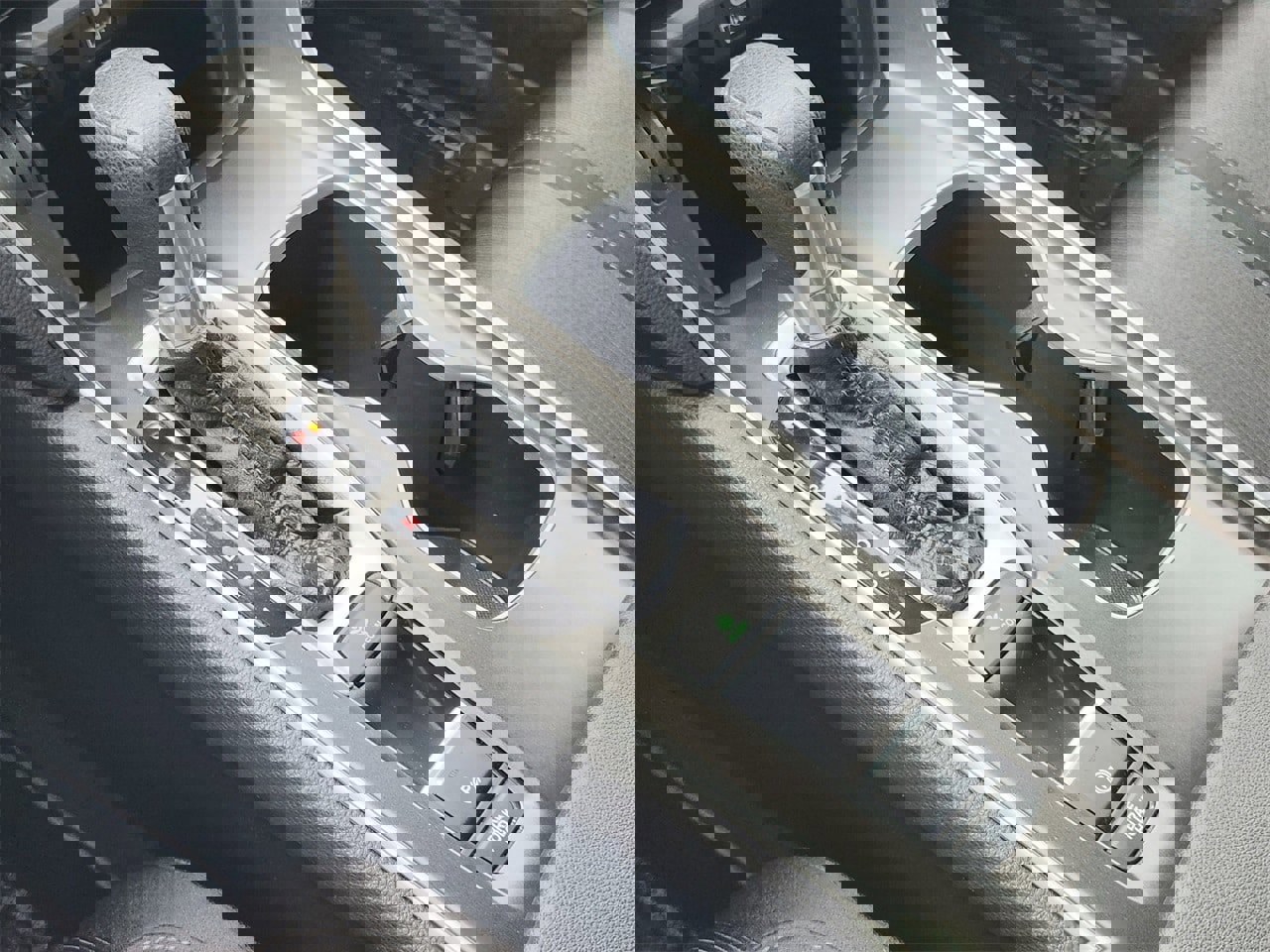 Certified 2019 Honda Accord EX image 19