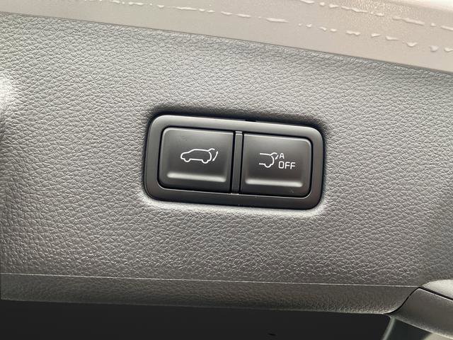 New 2026 Kia Carnival SX image 17