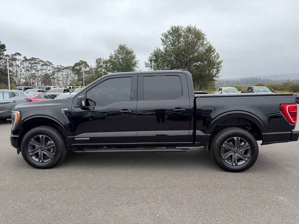 Used 2023 Ford F150 XLT w/ Equipment Group 302A High AWD/4WD image 2