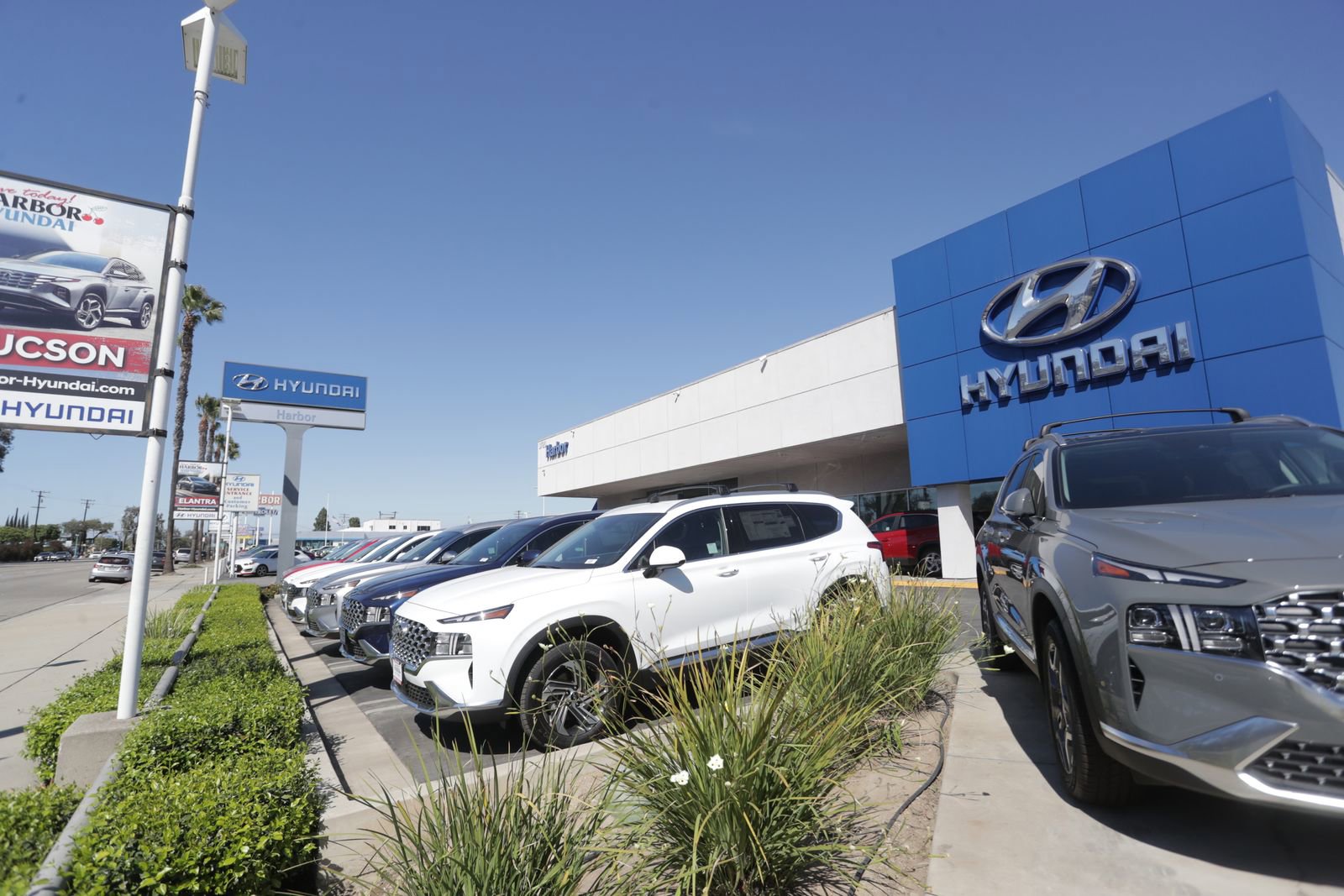 Used 2024 Hyundai Palisade Calligraphy image 41