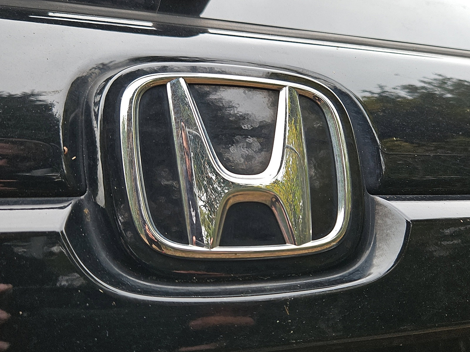 Used 2024 Honda Passport Black Edition image 6