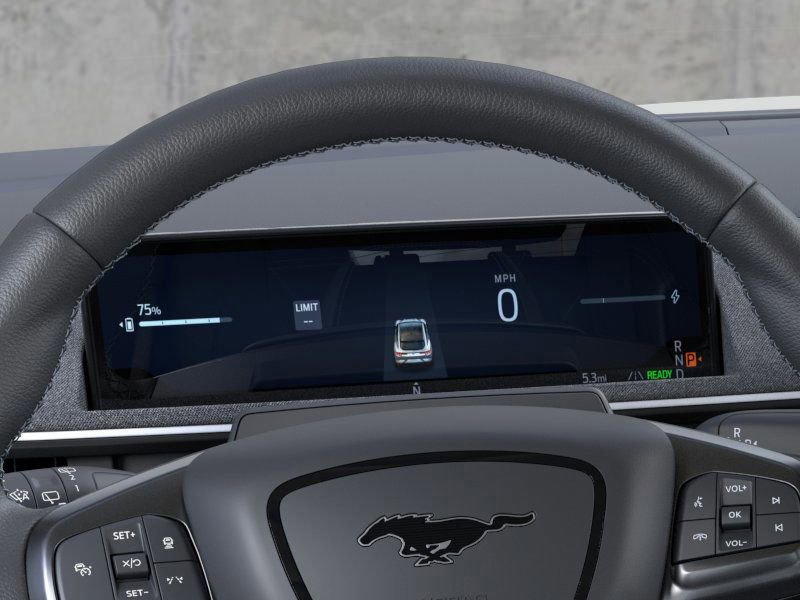 New 2025 Ford Mustang Mach-E GT w/ Interior Protection Package image 13