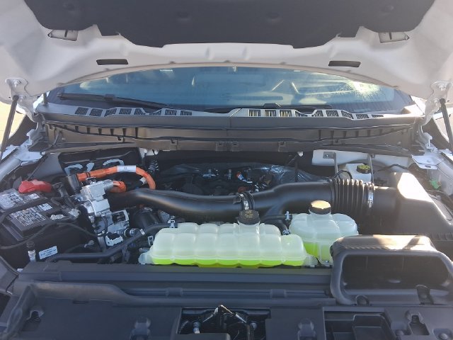 New 2026 Ford F150 Platinum AWD/4WD image 11