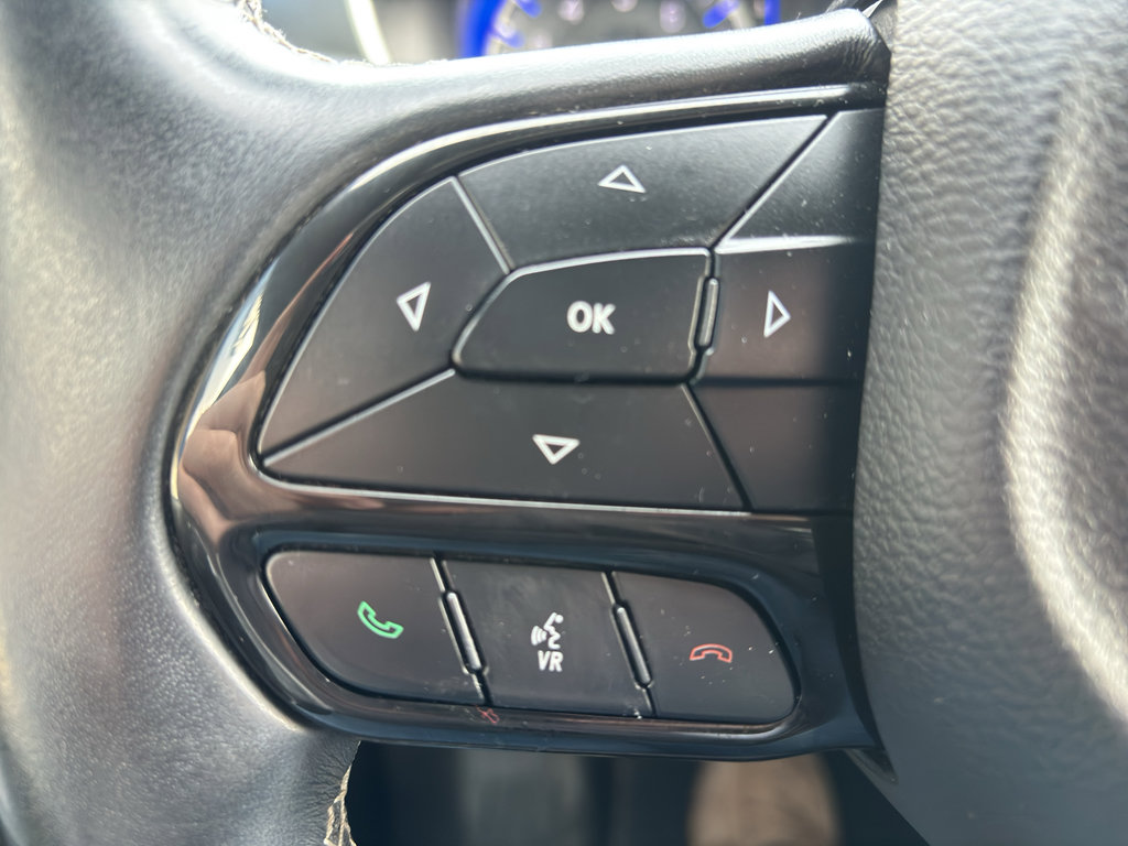 Used 2018 Chrysler Pacifica Touring-L w/ Premium Audio Group image 16