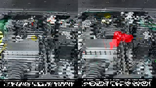 New 2025 Ford Bronco Sport Badlands w/ Badlands Tech Package image 32