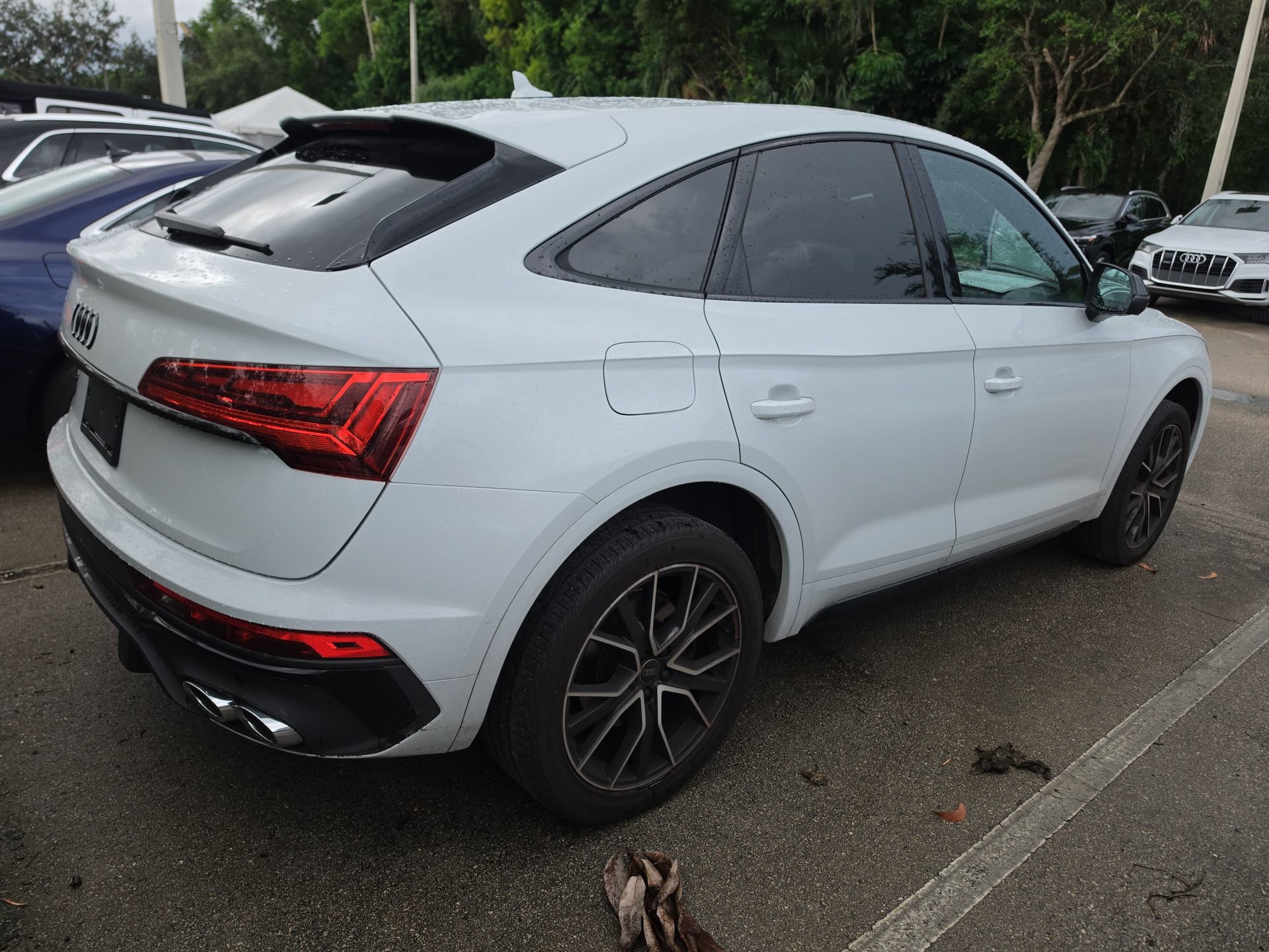 Used 2024 Audi SQ5 Premium Plus AWD/4WD image 5