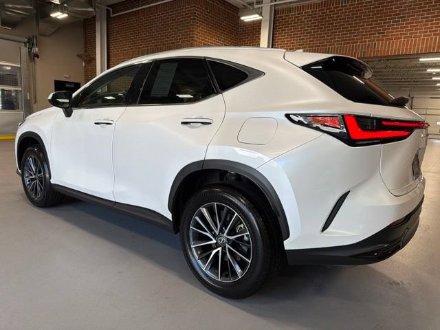 Used 2025 Lexus NX 350 AWD w/ Cold Area Package image 5