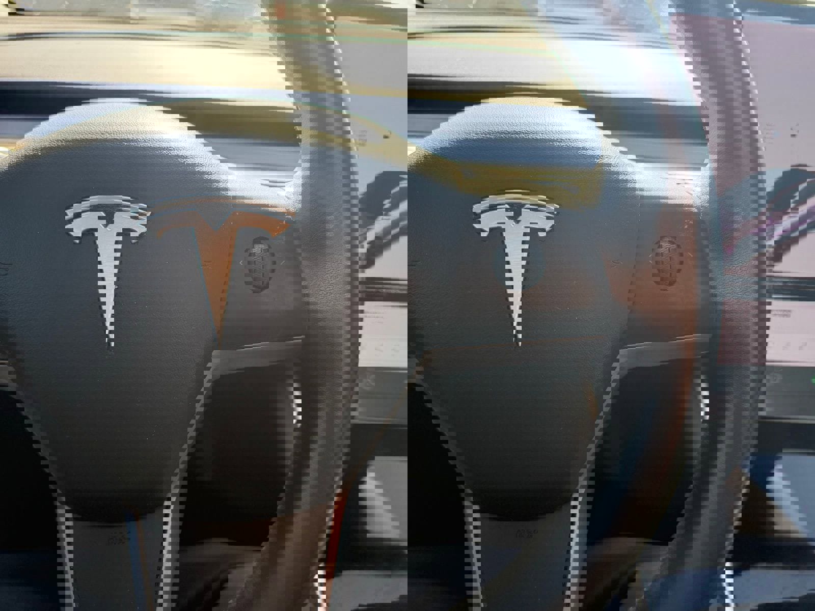 Used 2019 Tesla Model 3 Standard Range Plus image 18