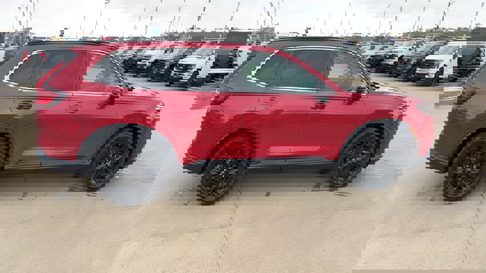 Used 2024 Honda CR-V Sport Touring image 2