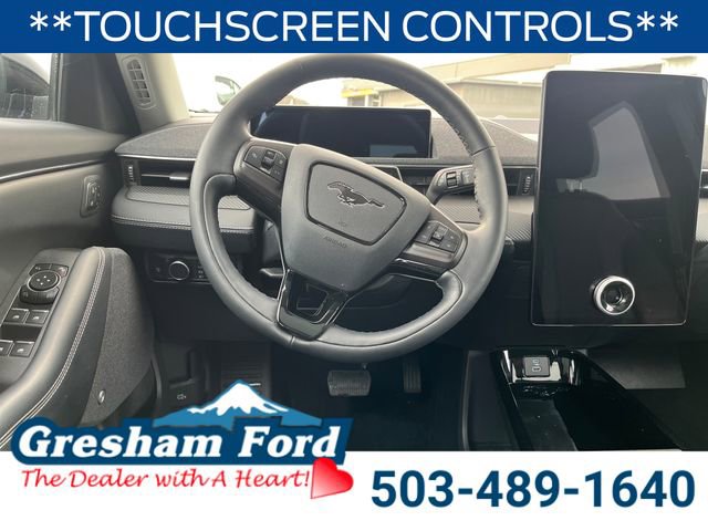 Used 2022 Ford Mustang Mach-E Premium image 15