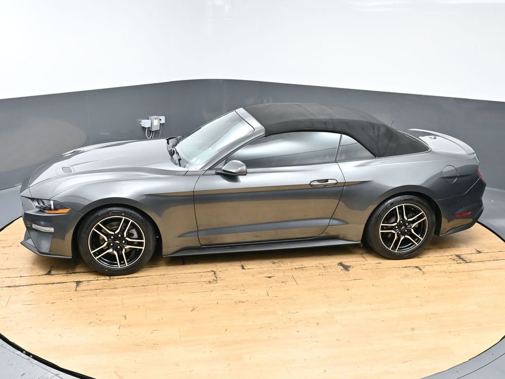 Used 2019 Ford Mustang Premium RWD image 44