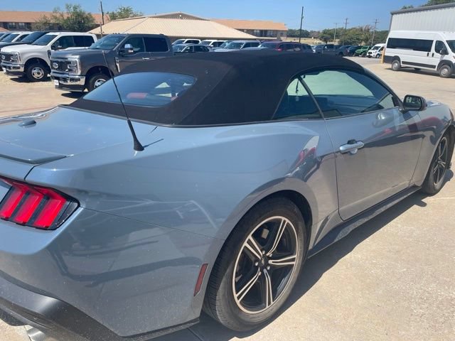 Used 2024 Ford Mustang Premium RWD image 4
