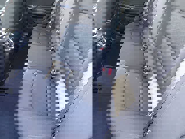 Used 2024 Chevrolet Malibu LT image 8