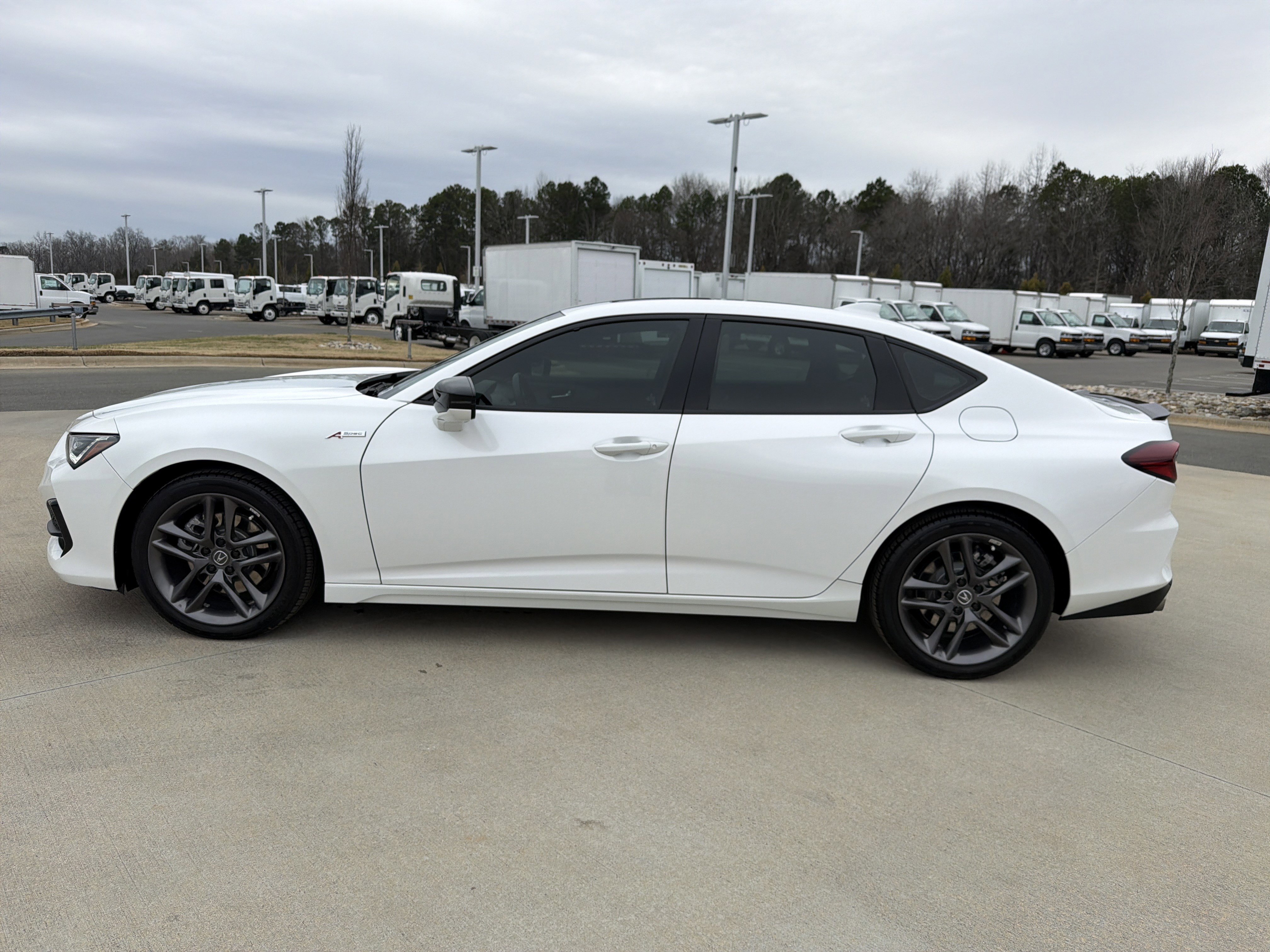 Certified 2025 Acura TLX SH-AWD w/ A-SPEC Pkg image 7