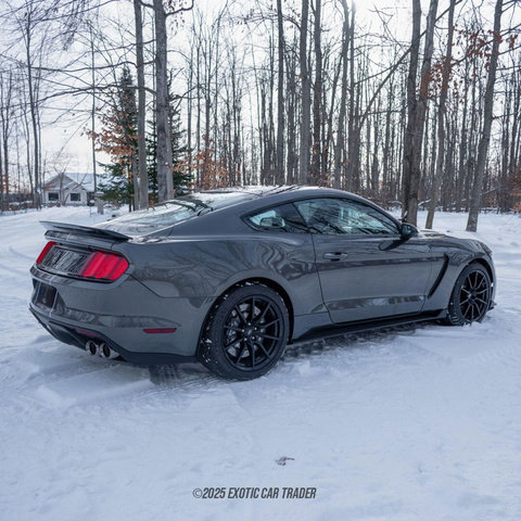 Used 2015 Ford Mustang Shelby GT350 image 77