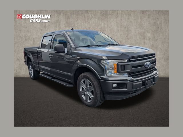 Used 2019 Ford F150 XLT w/ Equipment Group 302A Luxury AWD/4WD image 1