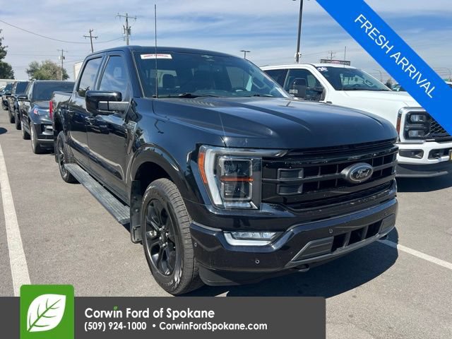 Used 2023 Ford F150 Platinum