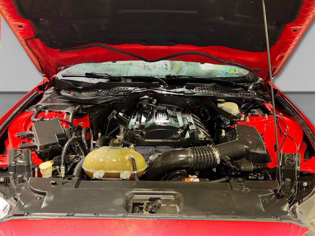 Used 2015 Ford Mustang Premium image 13