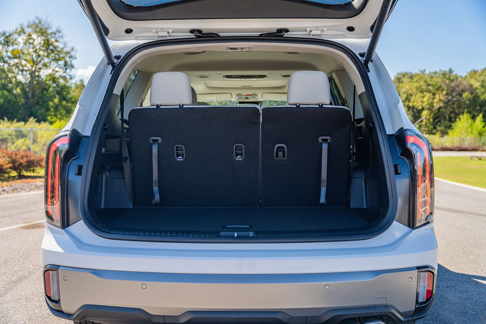 New 2025 Kia Telluride EX image 11