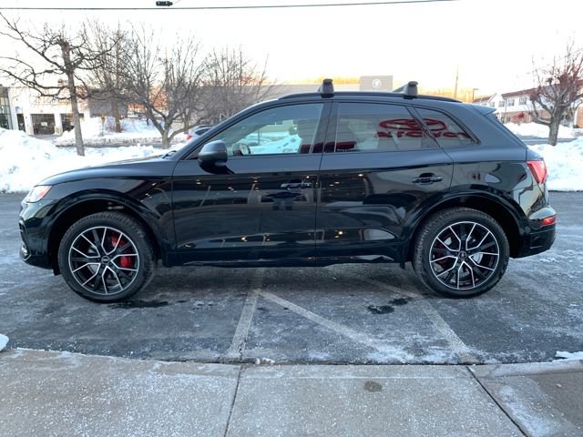 Used 2025 Audi SQ5 Premium Plus image 6