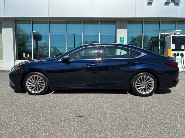 Used 2019 Lexus ES 350 w/ Accessory Package 2 FWD image 6