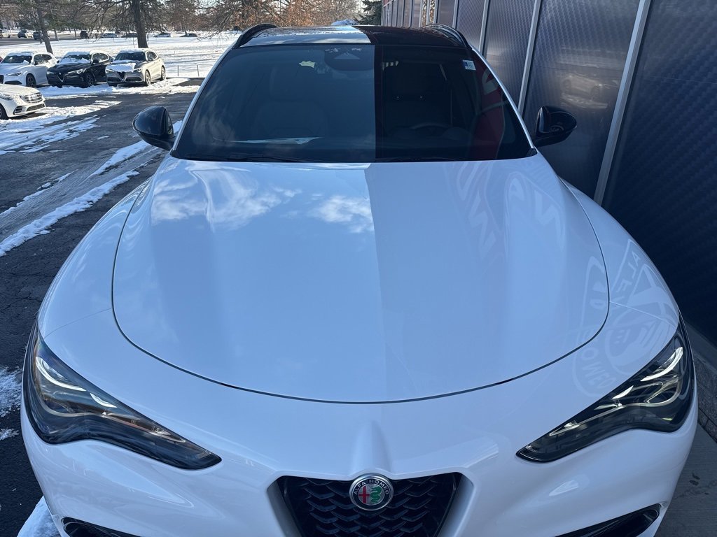 New 2025 Alfa Romeo Stelvio Sprint image 5
