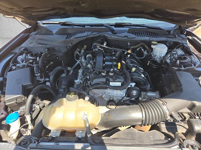 Used 2022 Ford Mustang Coupe w/ Equipment Group 101A RWD image 22