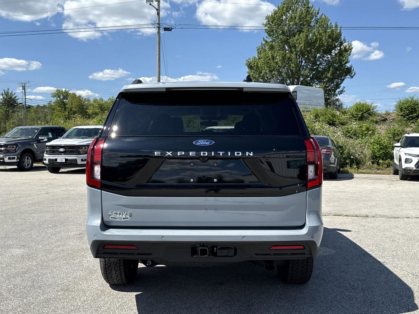 New 2025 Ford Expedition Active image 6