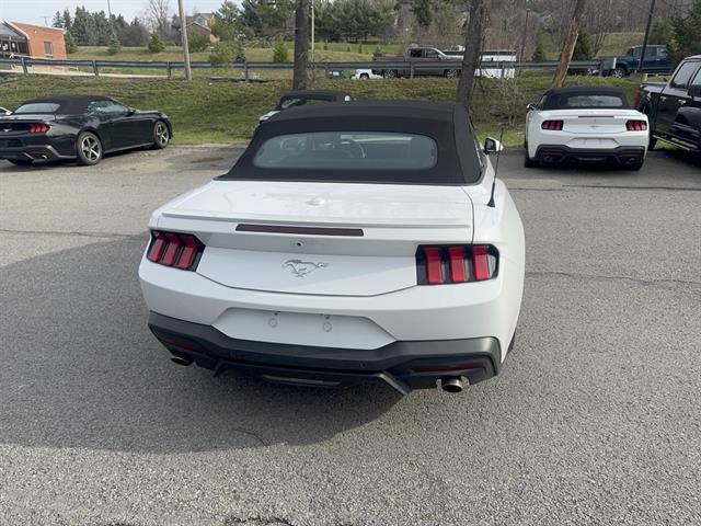 Used 2024 Ford Mustang Premium image 7