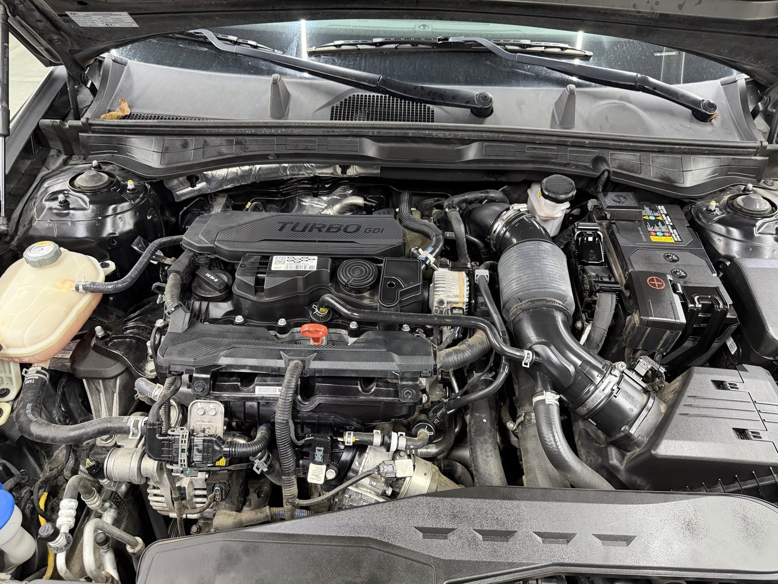 Used 2023 Hyundai Sonata SEL Plus image 27