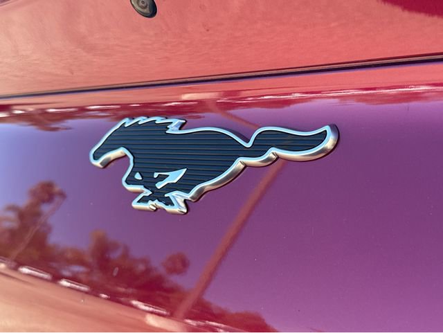 New 2025 Ford Mustang Mach-E Premium image 15