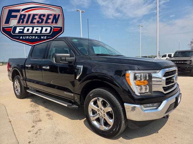 Used 2023 Ford F150 XLT w/ Equipment Group 302A High AWD/4WD image 3