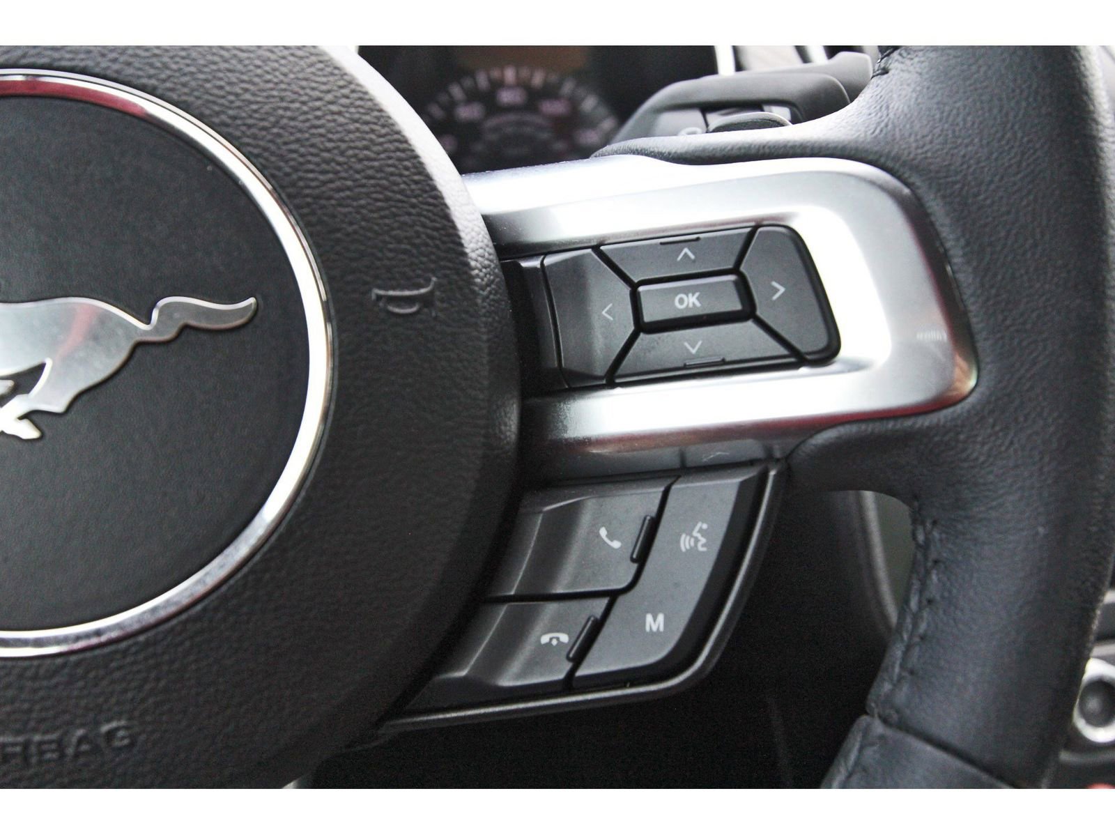 Used 2019 Ford Mustang EcoBoost image 16