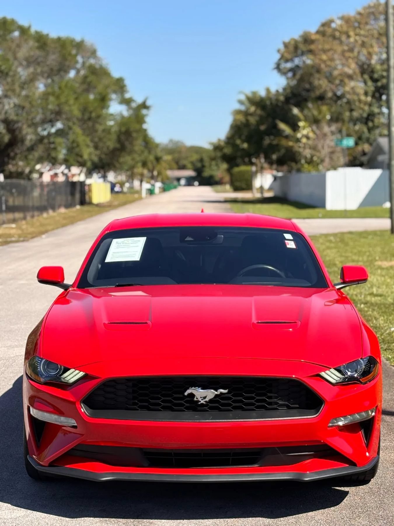Used 2023 Ford Mustang Premium RWD image 12
