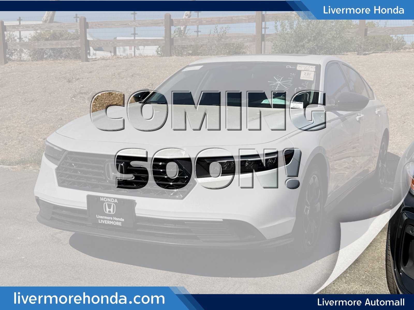 Used 2025 Honda Accord SE