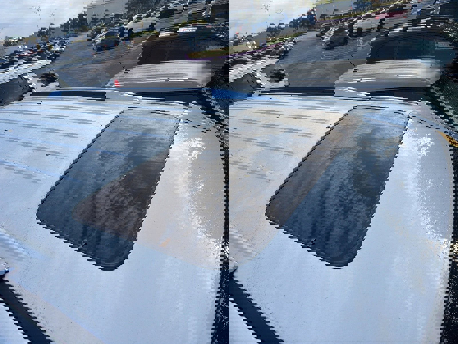 Used 2020 Cadillac Escalade Luxury image 12