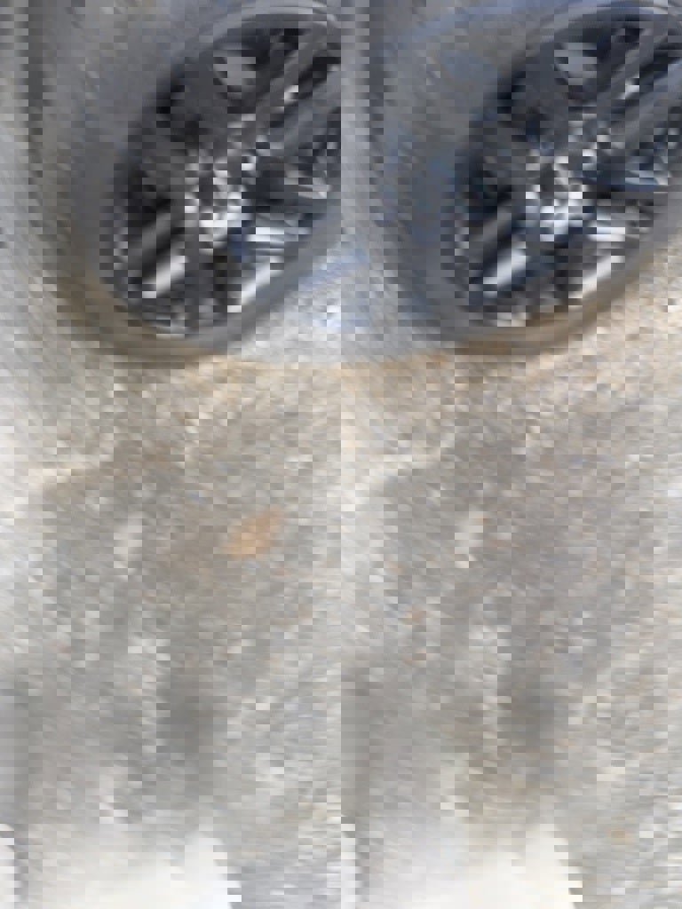 Used 2023 Chevrolet Silverado 1500 Custom Trail Boss w/ LPO, Dark Essentials Package image 6