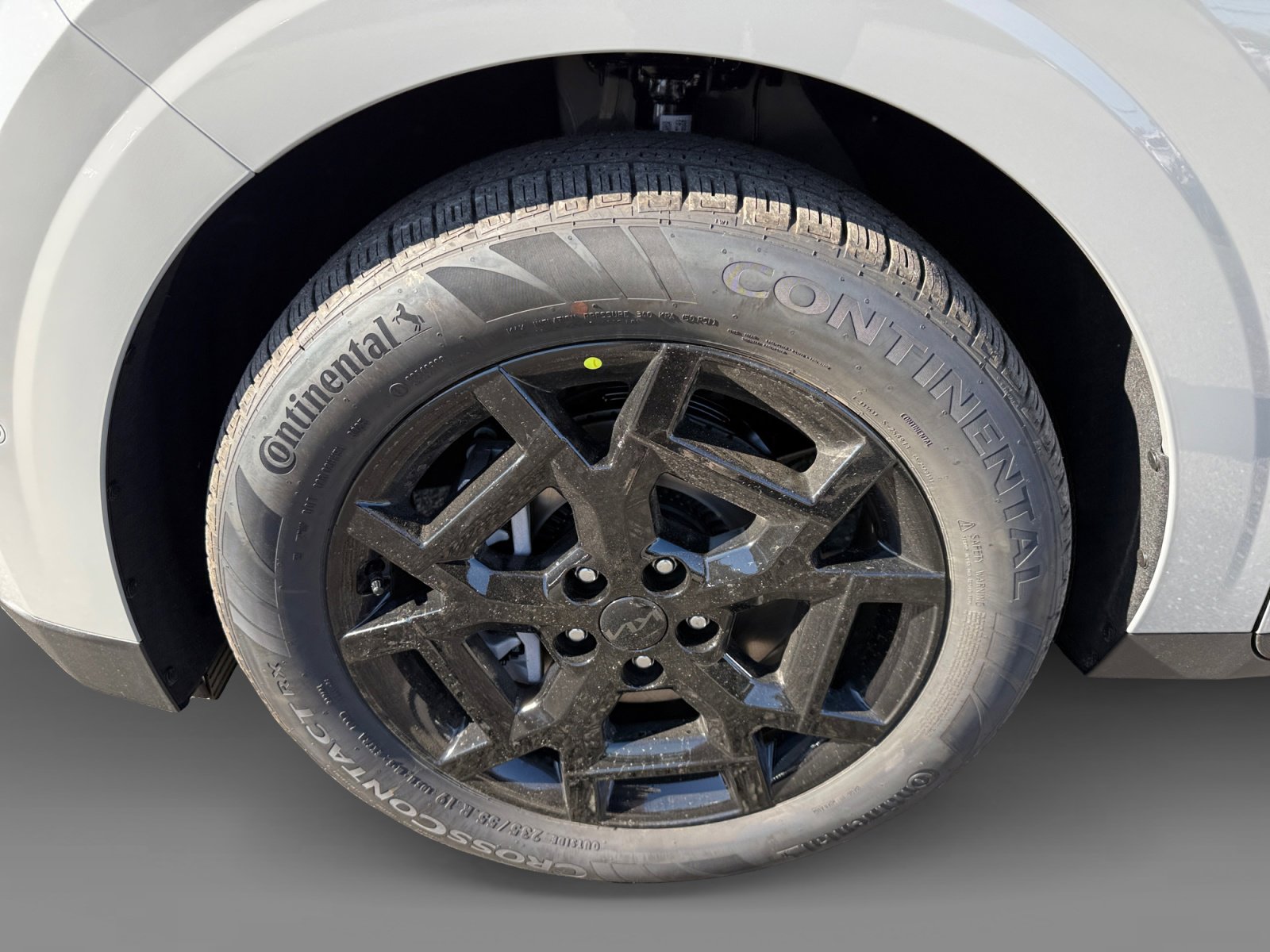 New 2026 Kia Carnival SX Prestige image 9