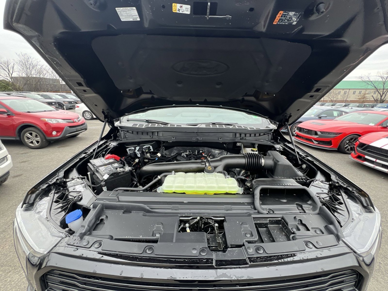 New 2025 Ford F150 Platinum w/ Equipment Group 702A High image 28