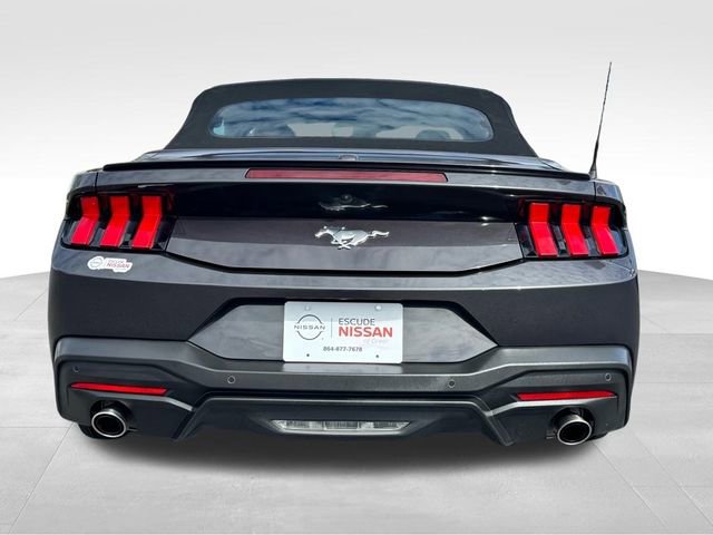 Used 2024 Ford Mustang Premium image 4