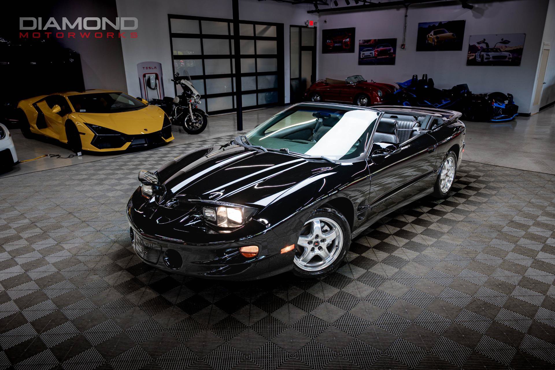 Used 2002 Pontiac Firebird Trans Am RWD image 5