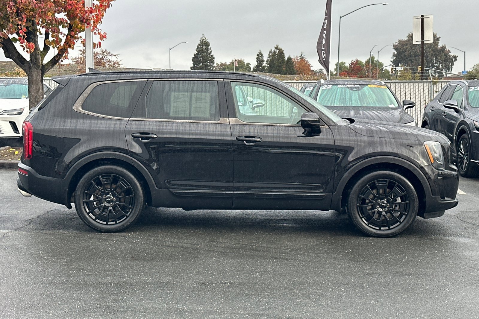 Used 2022 Kia Telluride SX w/ SX Prestige Package image 3