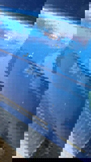 Used 2022 Ford F150 XLT w/ Equipment Group 302A High image 18