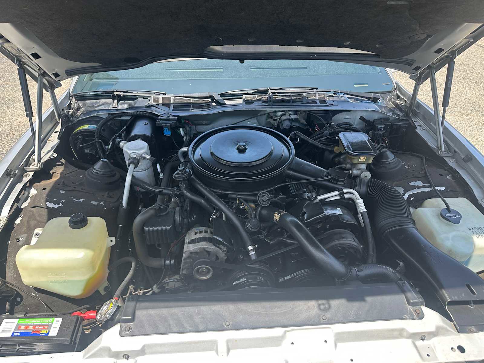 Used 1987 Pontiac Firebird Coupe RWD image 11