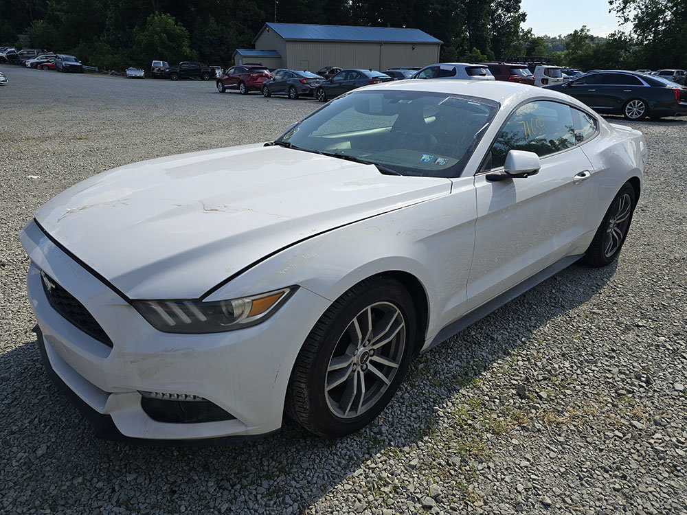 Used 2016 Ford Mustang Premium image 1