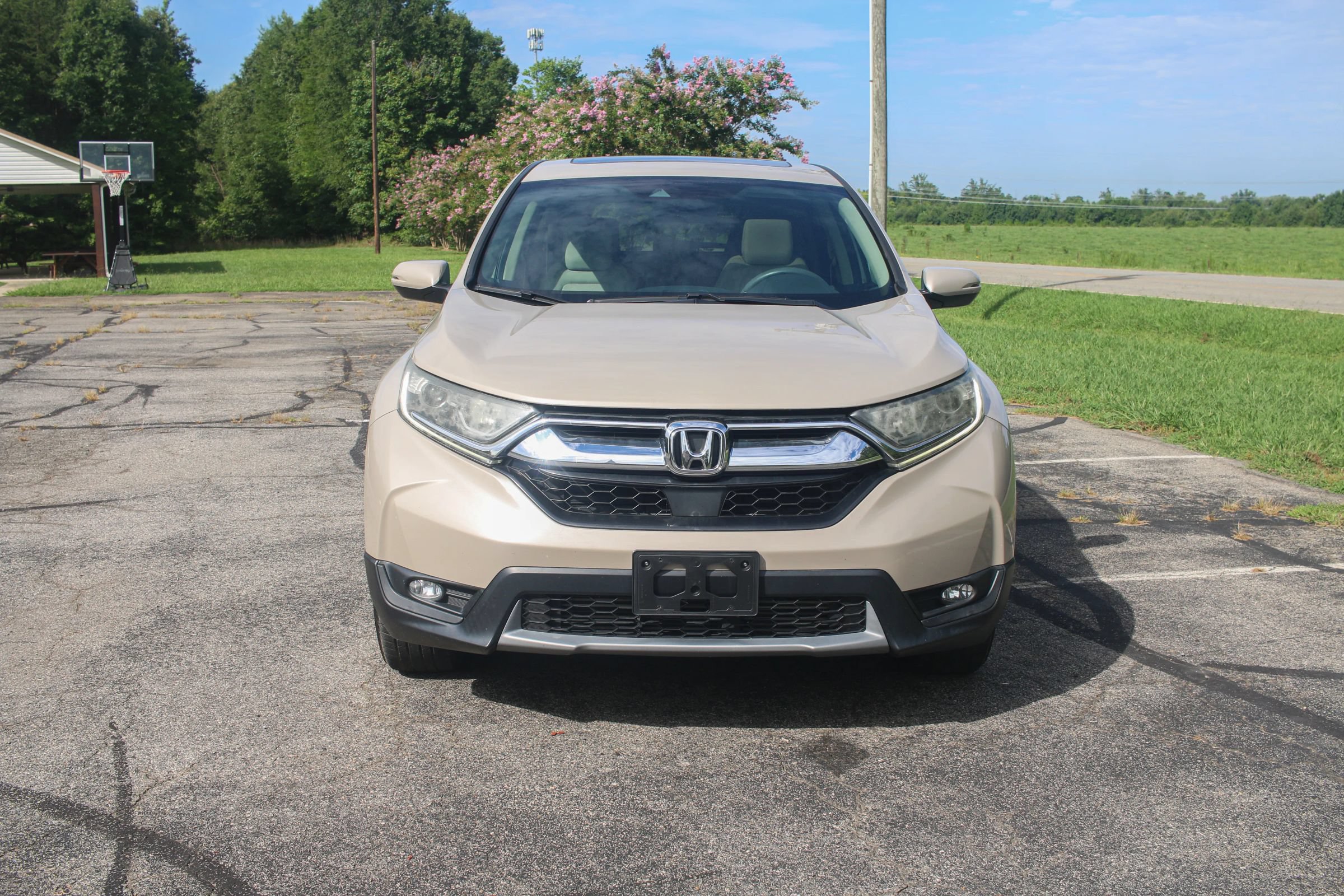 Used 2019 Honda CR-V EX image 3