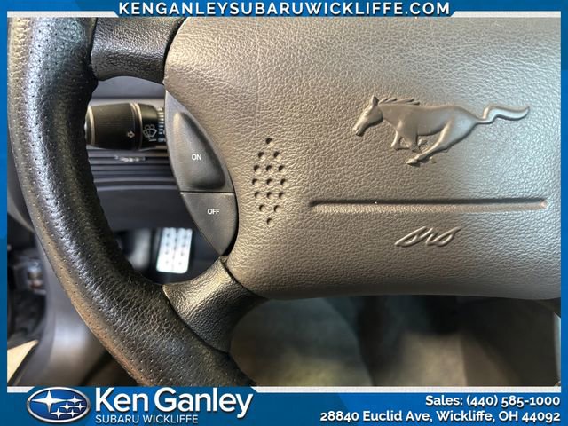 Used 2004 Ford Mustang Mach 1 image 14