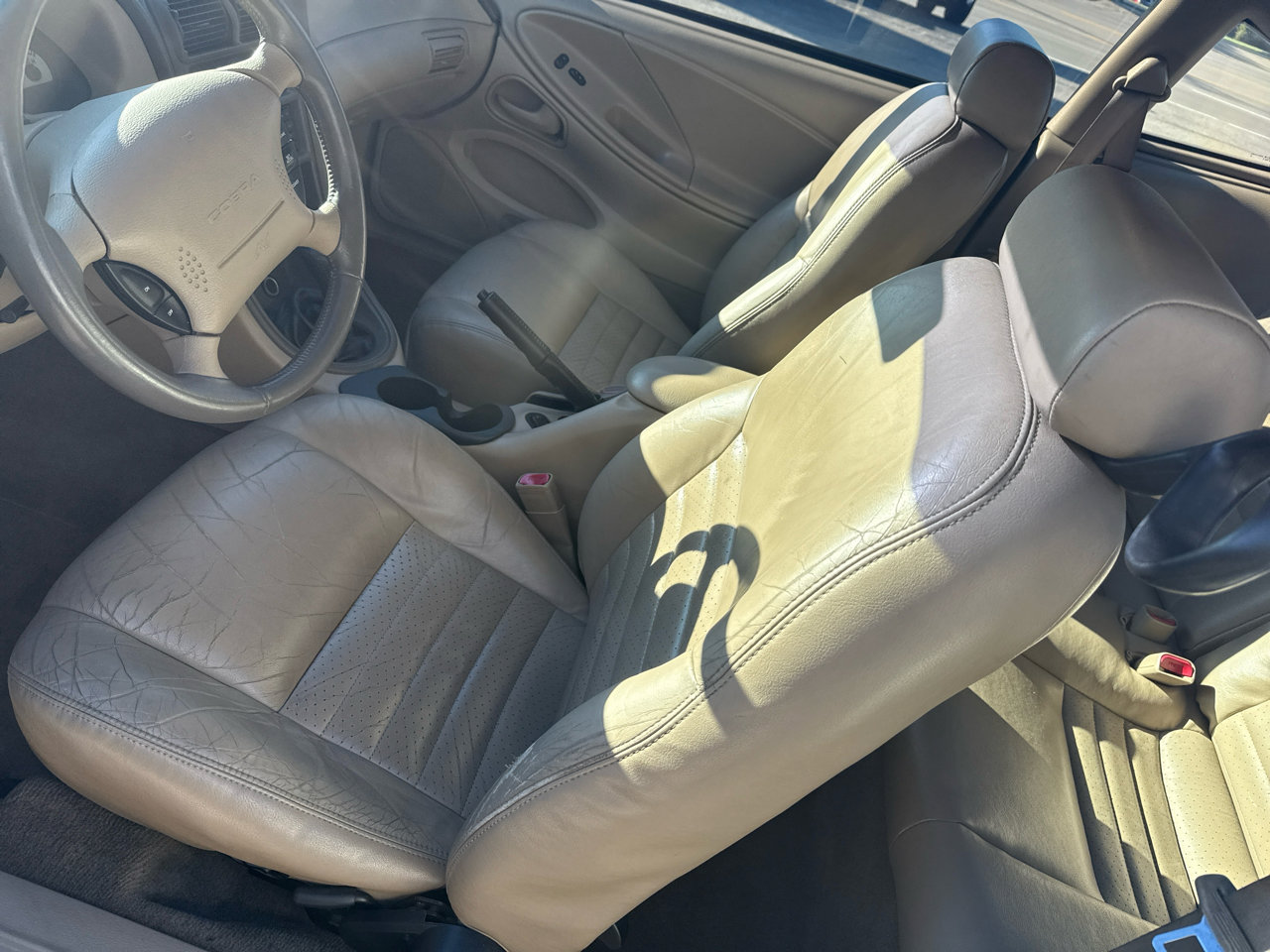 Used 1999 Ford Mustang Cobra image 16