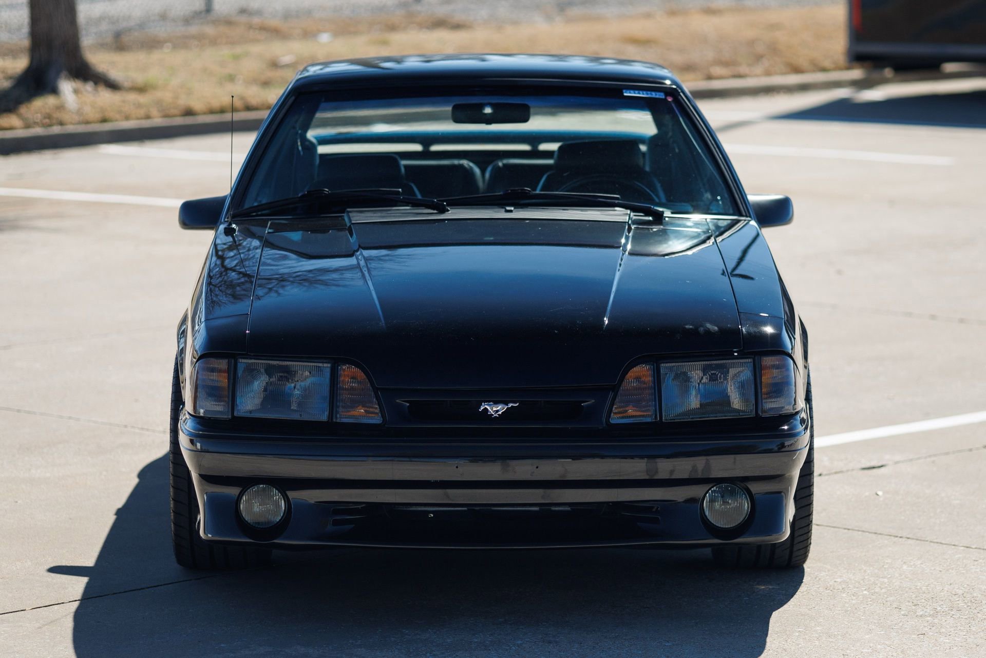 Used 1993 Ford Mustang Cobra RWD image 5