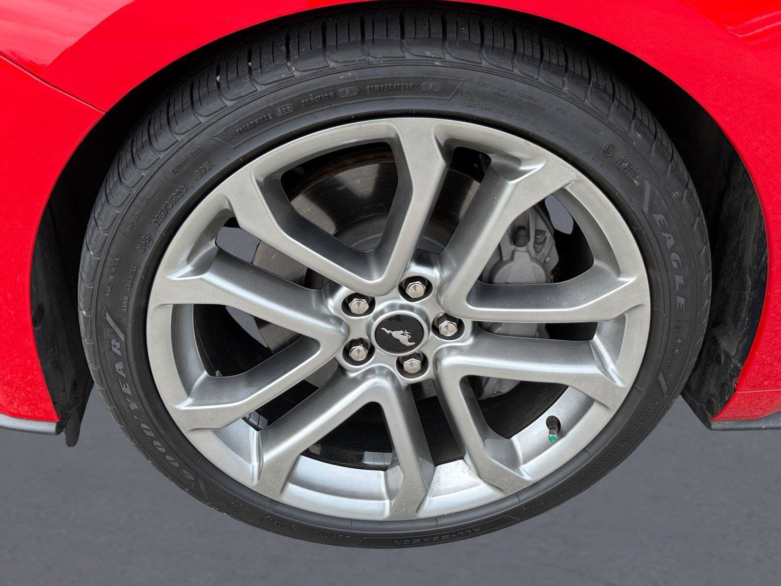 Used 2019 Ford Mustang GT Premium w/ Equipment Group 401A RWD image 9